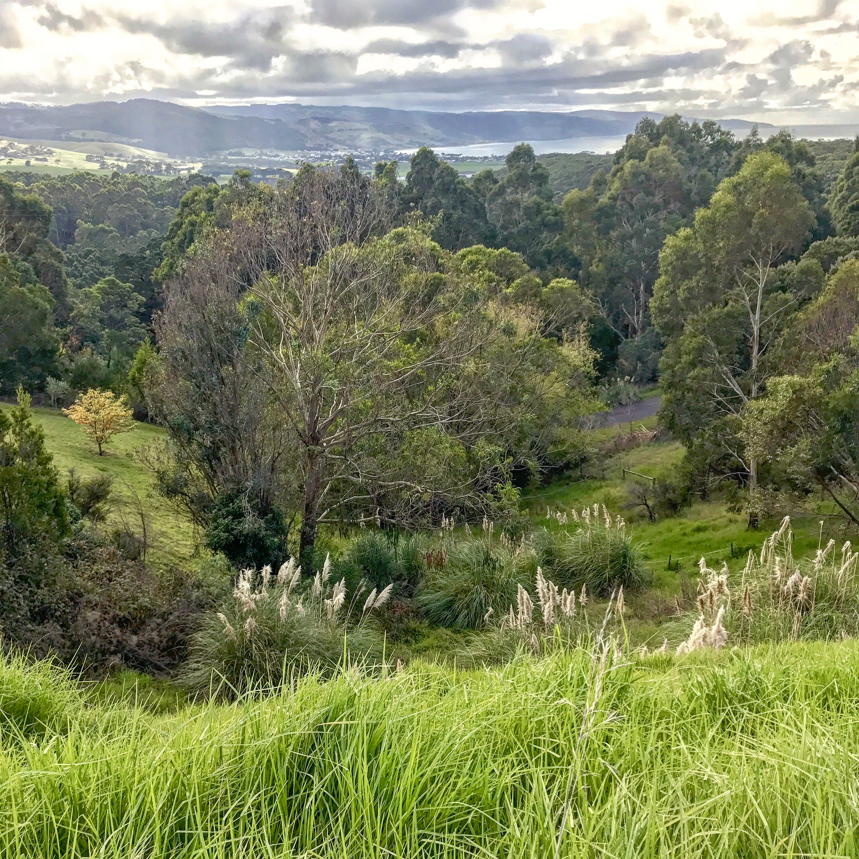 Punggol English Math Science Tutor Tuition Centre Primary Secondary Pri Sec 1 2 3 4 5 6