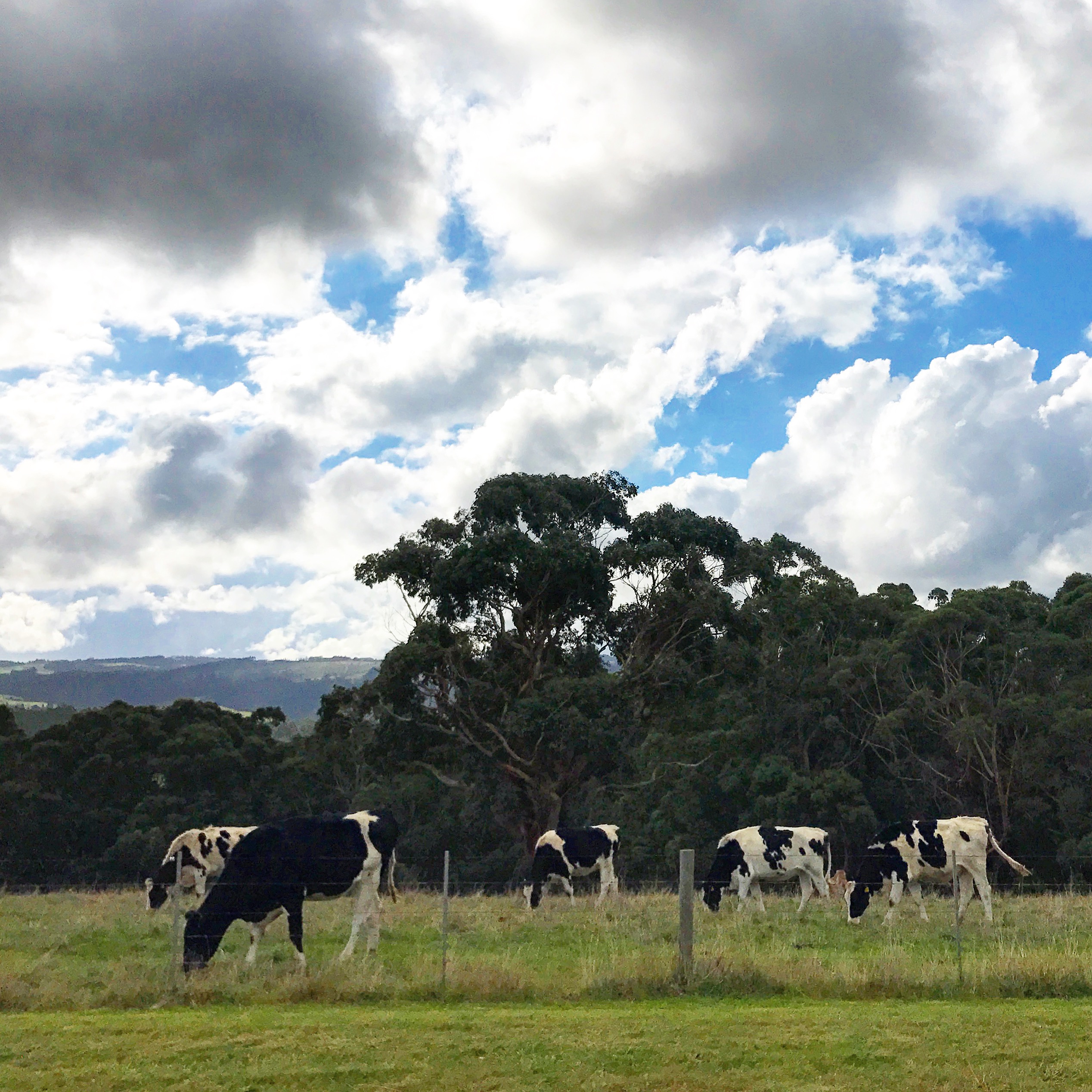 Punggol English Math Science Tutor Tuition Centre Primary Secondary Pri Sec 1 2 3 4 5 6